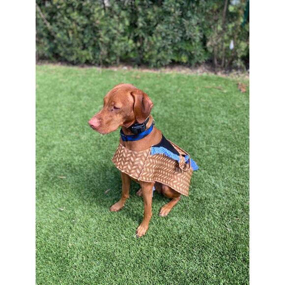 Dog Halloween Costume Wizard of Oz Toto Basket Medium/Large - Picture 1 of 4